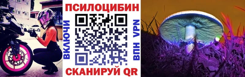 продажа наркотиков  Кудымкар  ОМГ ОМГ как зайти  Галлюциногенные грибы мухоморы 